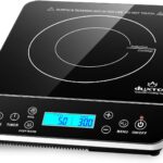 DUXTOP Cooktops-review